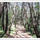 강동해수온천 이미지