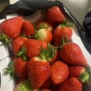 태이재한의원 | 3월 1주 일상