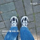 한가람아파트~장자중학교 | 경기 구리시 임장기 후기