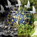 금두꺼비 이미지