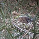 무원농장 이미지