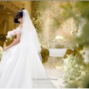 화음 | 본식 DVD 영상 가성비 좋은 업체 필름화음 후기