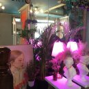 담게스트하우스 이미지