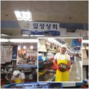 일성상회 이미지