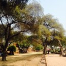 진은이발 이미지