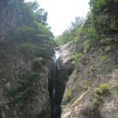 처연의 소리 이미지