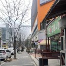 3459 | 둔산동 꽃집 대전 꽃백화점 연화플라워 가성비갑 꽃다발 선물로 딱이야