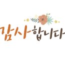 꽃지 화이트 펜션 이미지