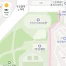수지체육공원 농구장 | 수지체육공원 인라인스케이트장 방문 후기🛼 | 도심 속에서 만난 넓은 트랙, 초보도 연습하기 좋은 곳!