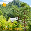 산림생태문화체험단지 | 몸과 마음을 치유하는 숲 || 백두대간 산림생태문화체험단지