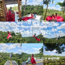 발리 가족 여행 후기, 칠순 기념 여행의 기록 세번째