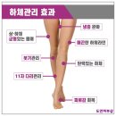 도연에스테틱