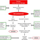 신도약국 이미지
