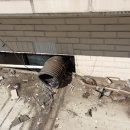 광무식당 이미지