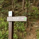 악어섬 | [충주/가볼만한곳] 악어섬 악어봉 탐방로 등산후기 (주차, 소요시간, 꿀팁)