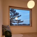 월령솔가 이미지