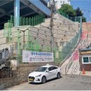 양지동