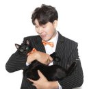 다홍헤어 이미지