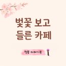 청풍 | 제천 청풍 베이커리카페 초입 후기, 벚꽃 구경하다 들르기 좋았어요