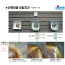 나노윈