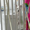 이즈멍 | 2024/08/24 이즈멍 하루