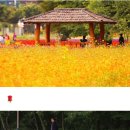 창하