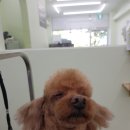 개도만족 이미지