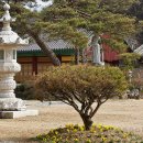 유하사 - 1683 | 유하사