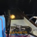장전낚시터 Daum카페