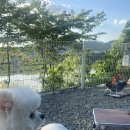 강나루캠핑야영장 이미지