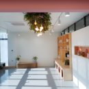 서산시동물보호센터 이미지