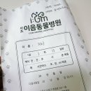 서초이음동물병원 이미지