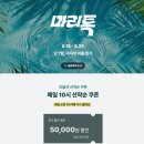 풀하우스 | 로마풀하우스 후기 조식 세탁 짐보관 할인 마리특 특가 로마 한인민박 추천