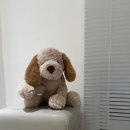 3365 | 전주서신동왁싱 다녀온 후기, 오늘하루뷰티 전주점에서 편안했던 시간