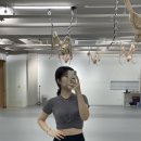 리에스튜디오 | 부산 바레 ‘리에 스튜디오’ 바레 운동 후기
