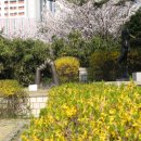 광주문예회관의 봄풍경 이미지
