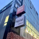 현애견미용실 | 합정역 미용실 중단발 허그컷 레이어드컷 잘하는 르네!