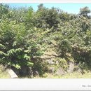 방범초소 옆 이미지