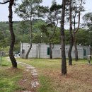 강동로5-43 | 영주호오토캠핑장 A-43, 44사이트 후기 친구들이랑 캠핑, 캠핑음식 추천