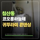 침산할인마트 | 침산 코오롱 하늘채 귀뚜라미 콘덴싱 보일러 교체 후기