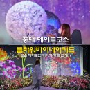 홍대 데이트코스 플라워바이네이키드 미디어 전시 & 바이츠앤 카페