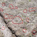 서울대공원노동조합 이미지