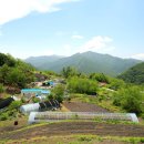 큰마을당구장 이미지