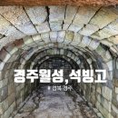 경주여행# 경주월성&amp;석빙고 방문후기