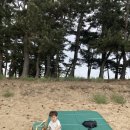 궁평항 주차장 공중화장실 이미지