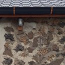 명월 민박 이미지