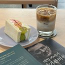 카페가미 | 보문 성북천 뷰 좋은 감성 카페 마가밀 찐 후기☕️