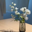 CU 궁동로데오점점 | 강남 압구정 파티룸 &#34;화이트하우스 662&#34; 단체모임에 딱 좋은 공간대여