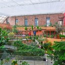 스넥테라스 이미지