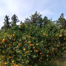 준이농장2 이미지